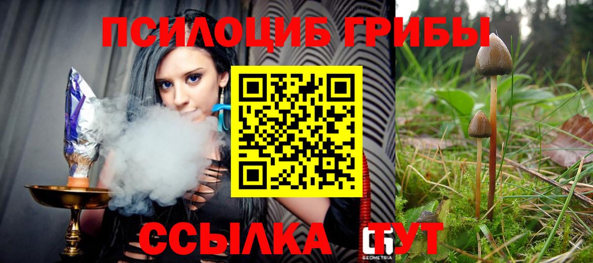 Галлюциногенные грибы GOLDEN TEACHER Батайск