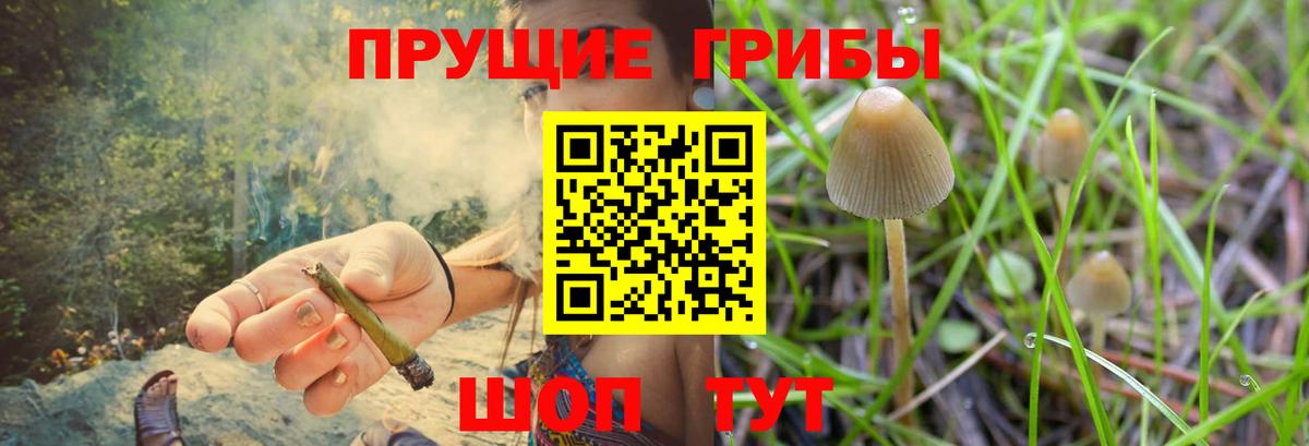 Псилоцибиновые грибы мицелий  Вход с VPN  Галлюциногенные грибы Cubensis  Батайск 